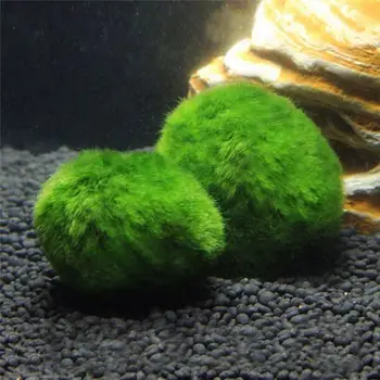 Akvarijní rostliny, Ryby, nádrže dekorace mořské Řasy míč Voda tráva míč Zelené řasy míč Fish tank terénní úpravy Ekologická láhev