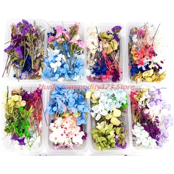 Náhodné Box 1 Přírodní Sušené Květinové, Suché Rostliny Skutečné Květiny DIY Craft Příslušenství