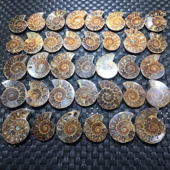 Madagaskar, Fosílie Duhové Ammonite Přírodní Ulita Kameny A Minerály Exemplář+Držák