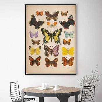 Hmyz Starožitný Ilustrace Malířské Plátno Motýli Vintage Plakáty a Tisky Wall Art Pictures Home Dekorace Bez Rámu