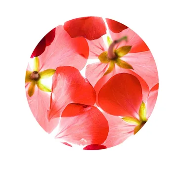 Nová Krásná Rostlina, Červené Květy Vzory 8mm 10mm12mm//20mm/25mm Kolo foto sklo cabochon demo ploché zpět Dělat závěry
